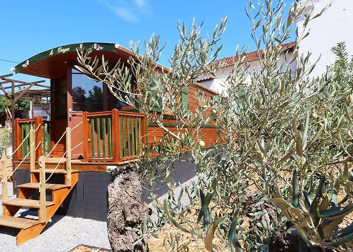 Roulotte Au Coeur Des Vignes, Camping Hyères